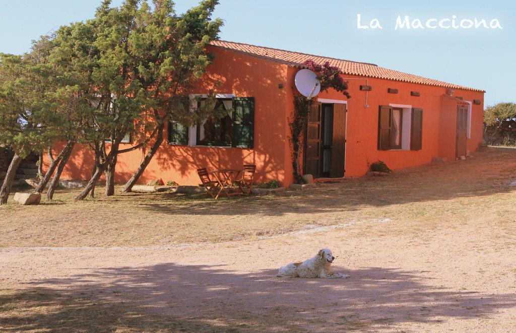 La Macciona Appartement Aglientu Buitenkant foto