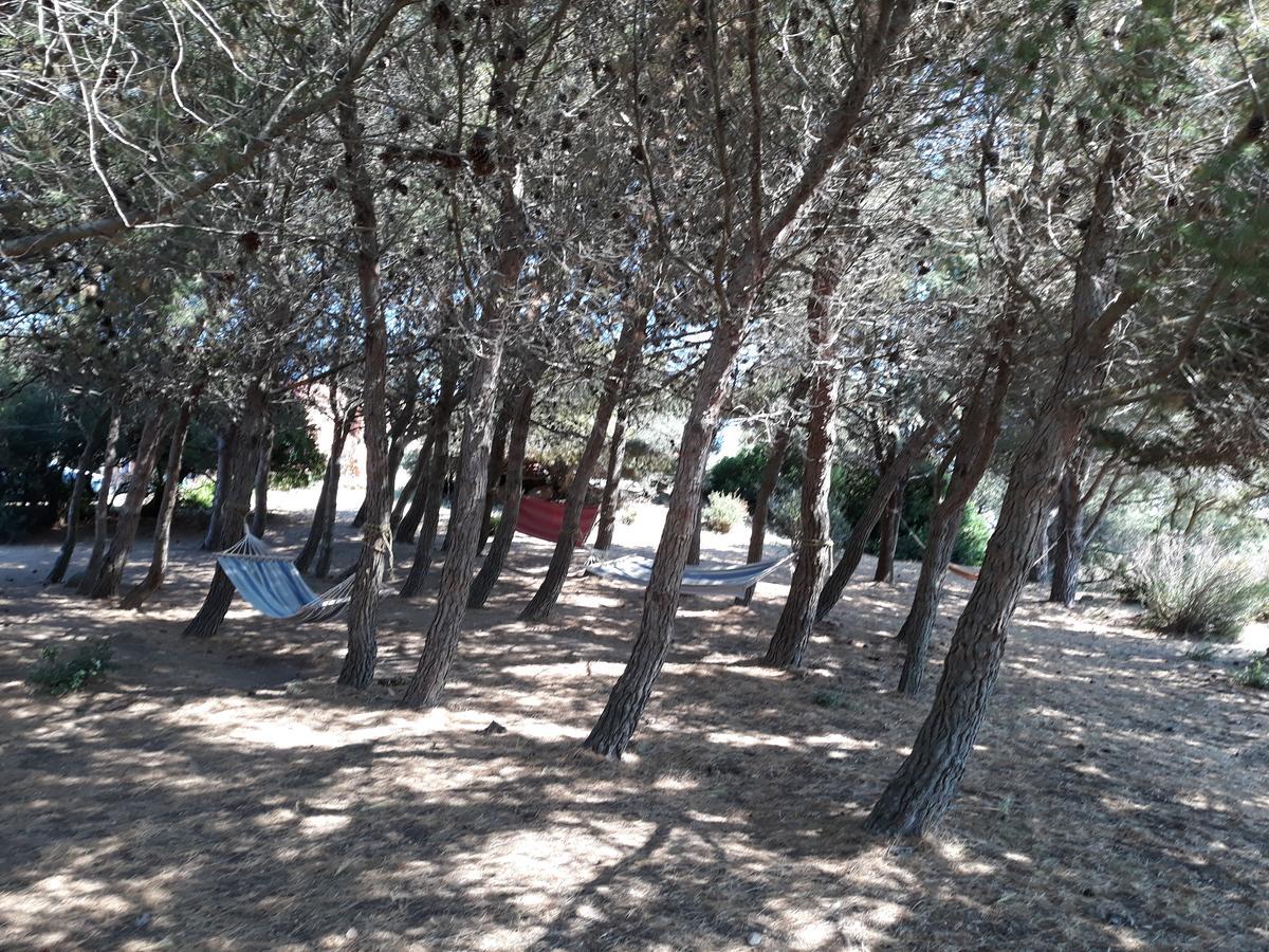 La Macciona Appartement Aglientu Buitenkant foto